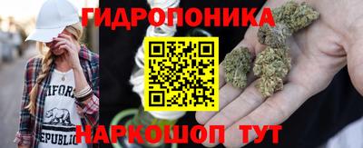 меф Лесосибирск