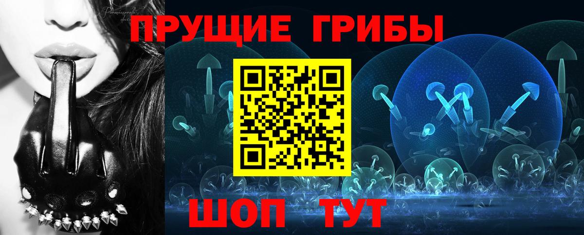 Галлюциногенные грибы Cubensis  Вход с VPN  Ефремов 